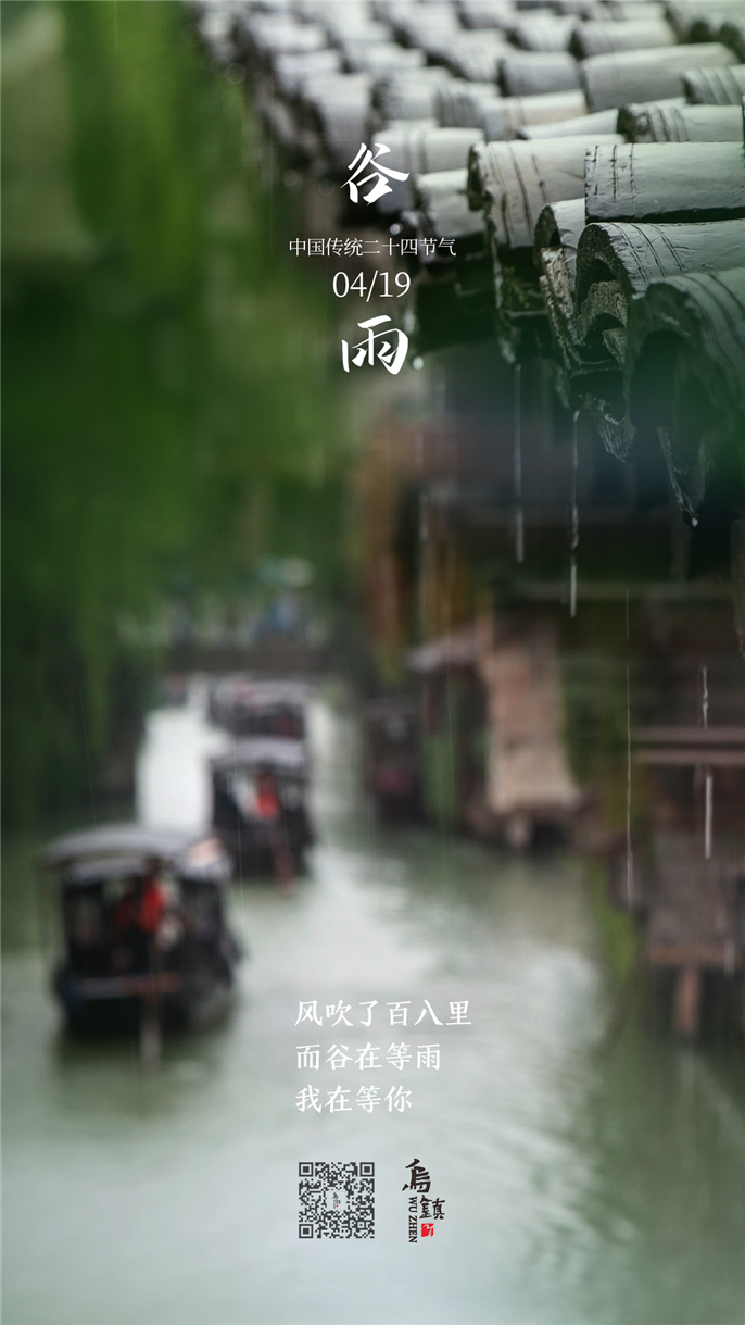 谷雨.jpg